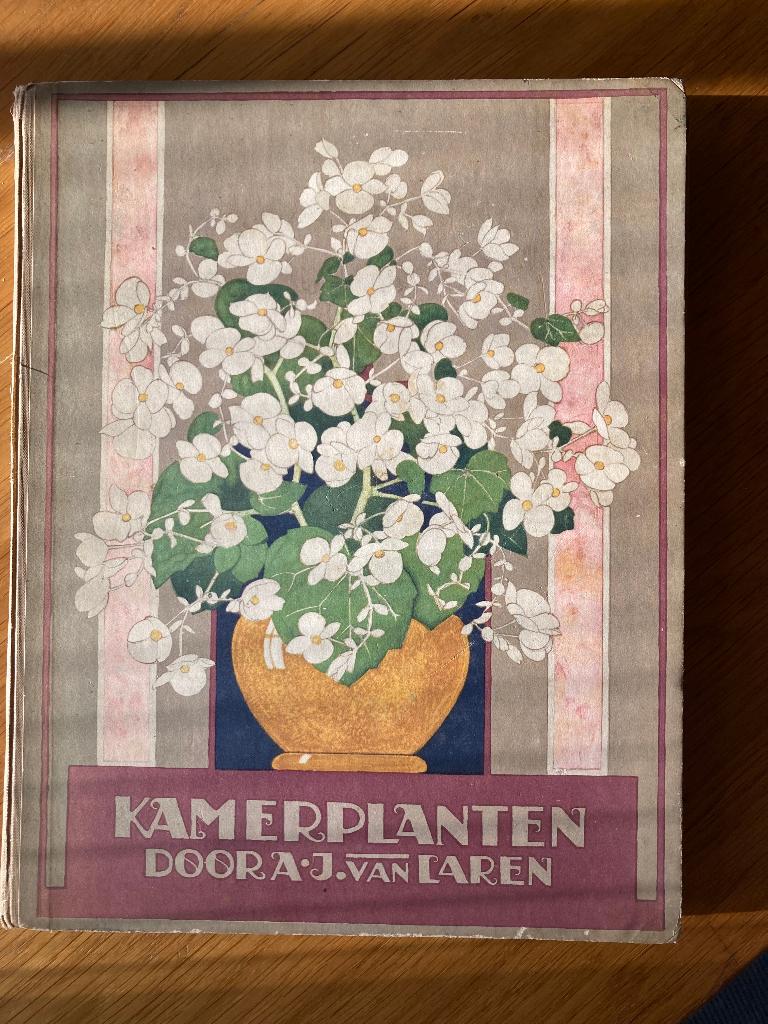 Verkade plaatjesalbum "Kamerplanten", Ophalen of Verzenden, Gelezen, A.J. van Laren, Plaatjesalbum