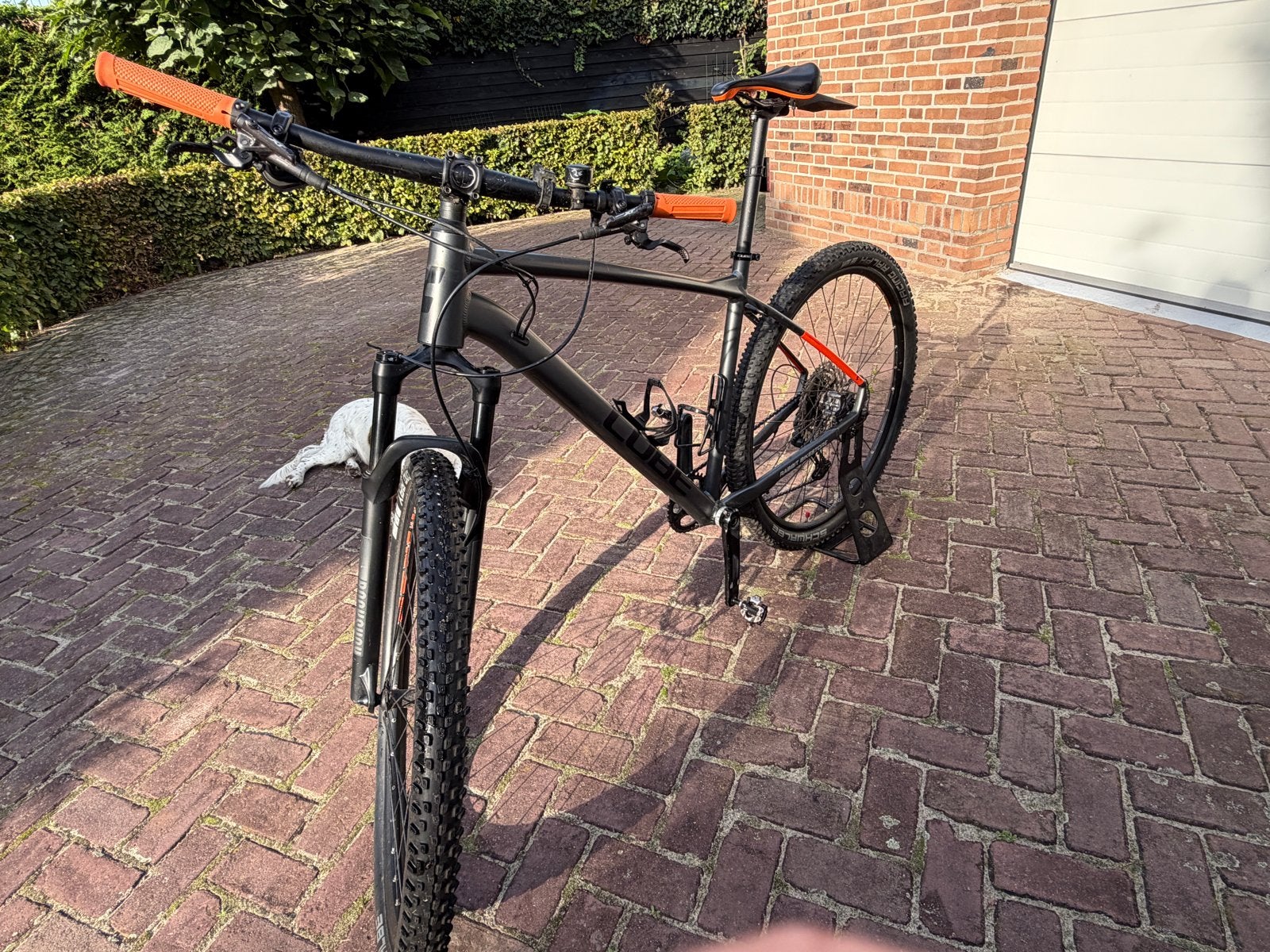 Cube Reaction Pro XL Mountainbike - 3 winters gebruikt, Gebruikt, 57 cm of meer, Hardtail, Heren