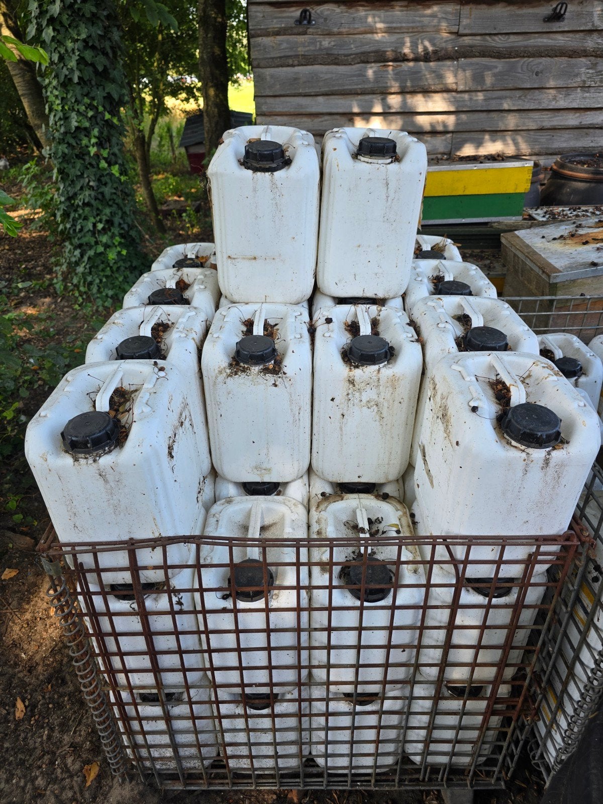 Lege jerrycans 10 liter voedselveilig, Ophalen, Kunststof