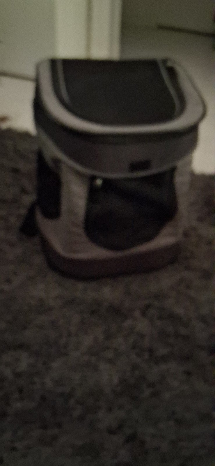 Te koop hond kat rugtas, Ophalen