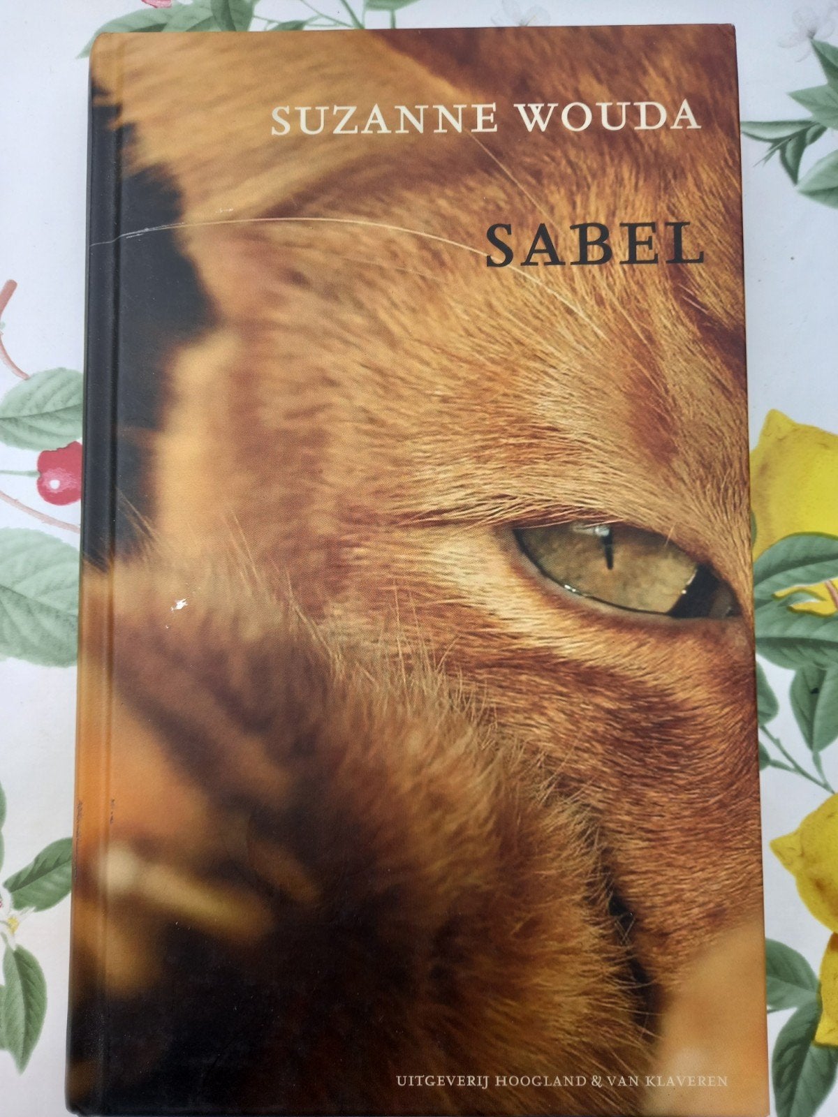 Suzanne Wouda - Sabel m3, Boeken, Fictie algemeen, Ophalen of Verzenden, Zo goed als nieuw, Suzanne Wouda