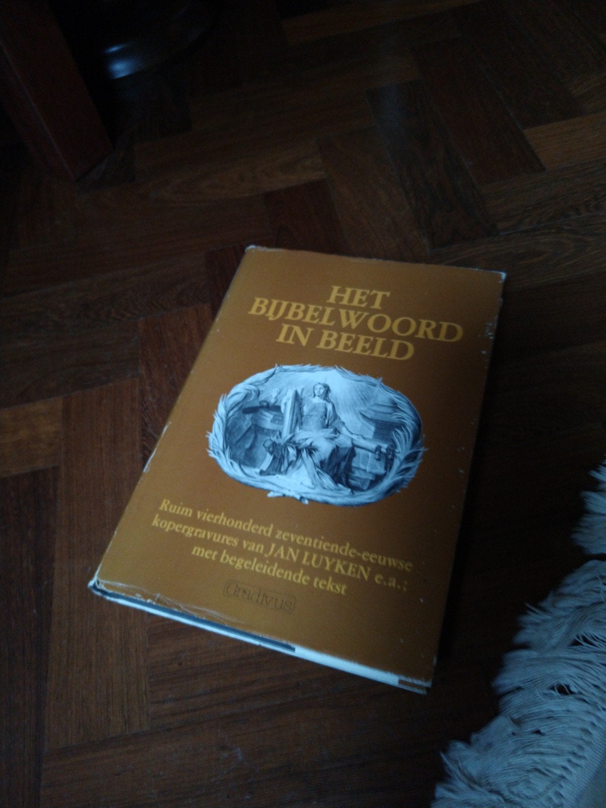Het Bijbelwoord in Beeld - Jan Luyken e.a., Ophalen of Verzenden, Gelezen, Jan Luyken e.a., Christendom | Katholiek