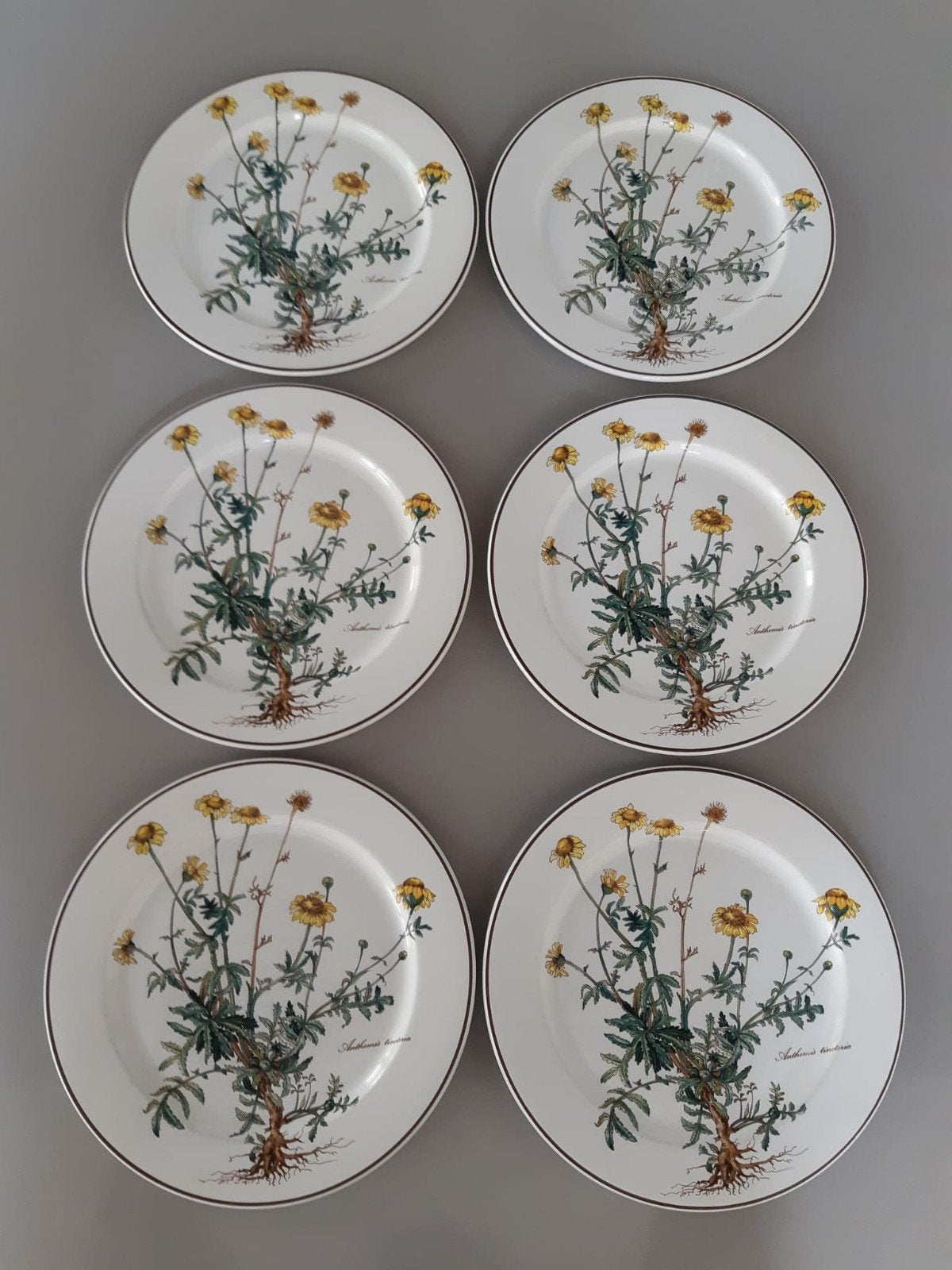 Dinerborden 24 cm Villeroy en Boch Botanica, 12 beschikbaar, Ophalen of Verzenden, Zo goed als nieuw, Bord(en), Overige stijlen