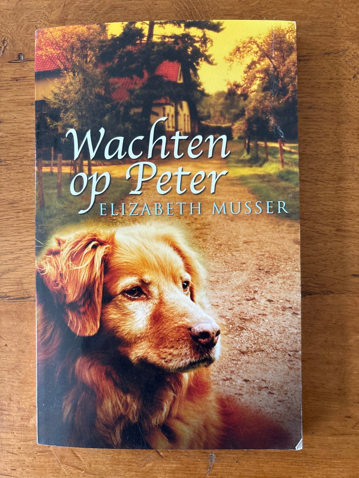 Wachten op Peter - Elizabeth Musser, Ophalen of Verzenden, Gelezen