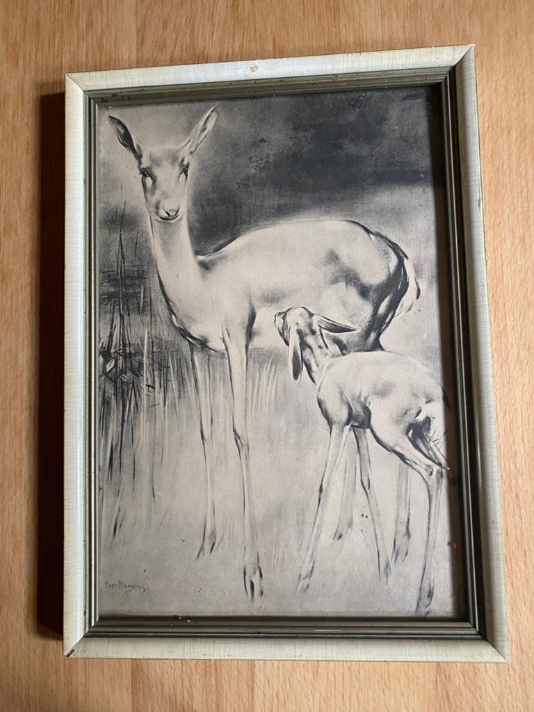Vintage Prent hertje schilderij, Ophalen of Verzenden