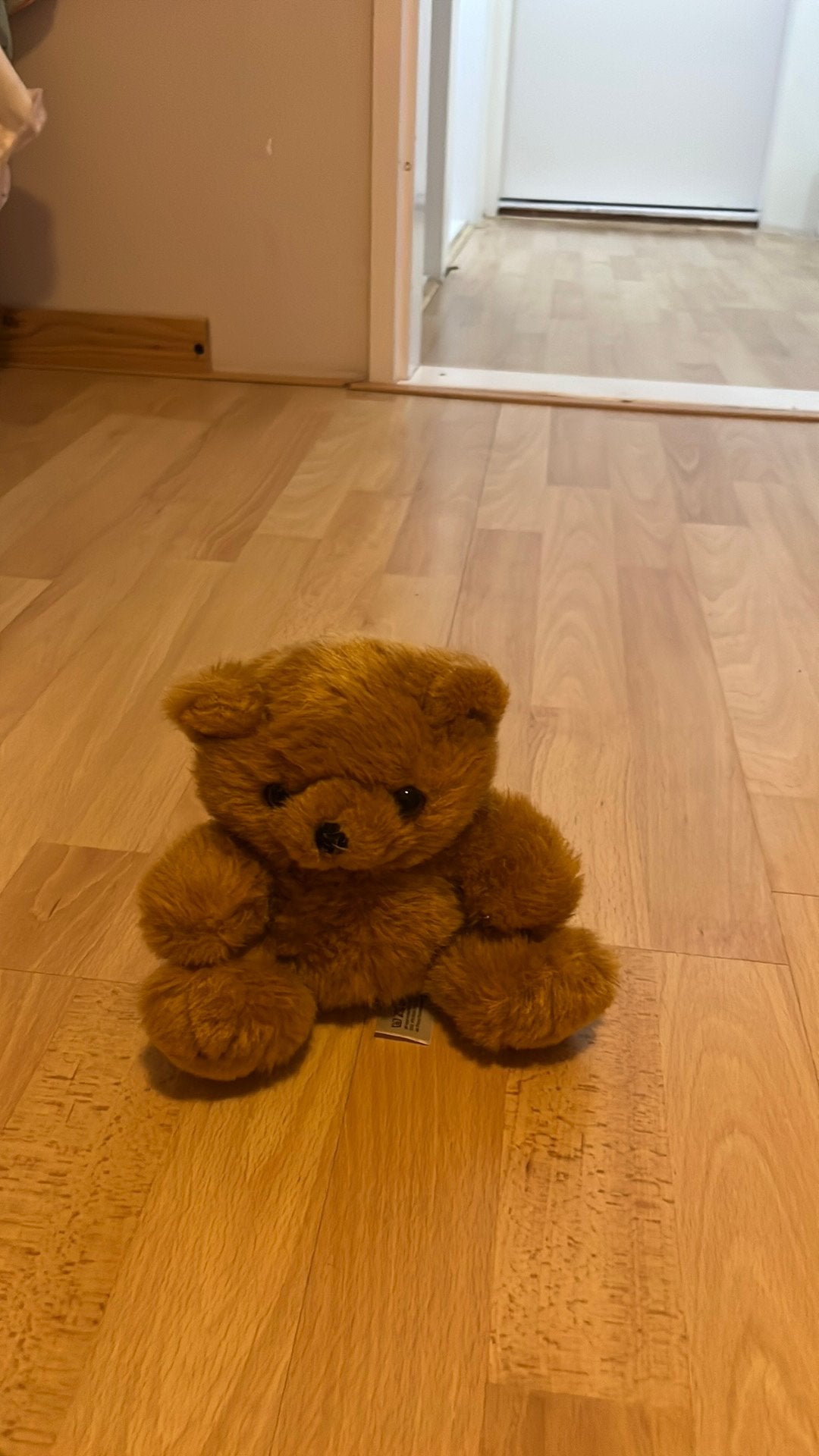Knuffels, Verzamelen, Ophalen, Zo goed als nieuw, Stoffen beer, Overige merken