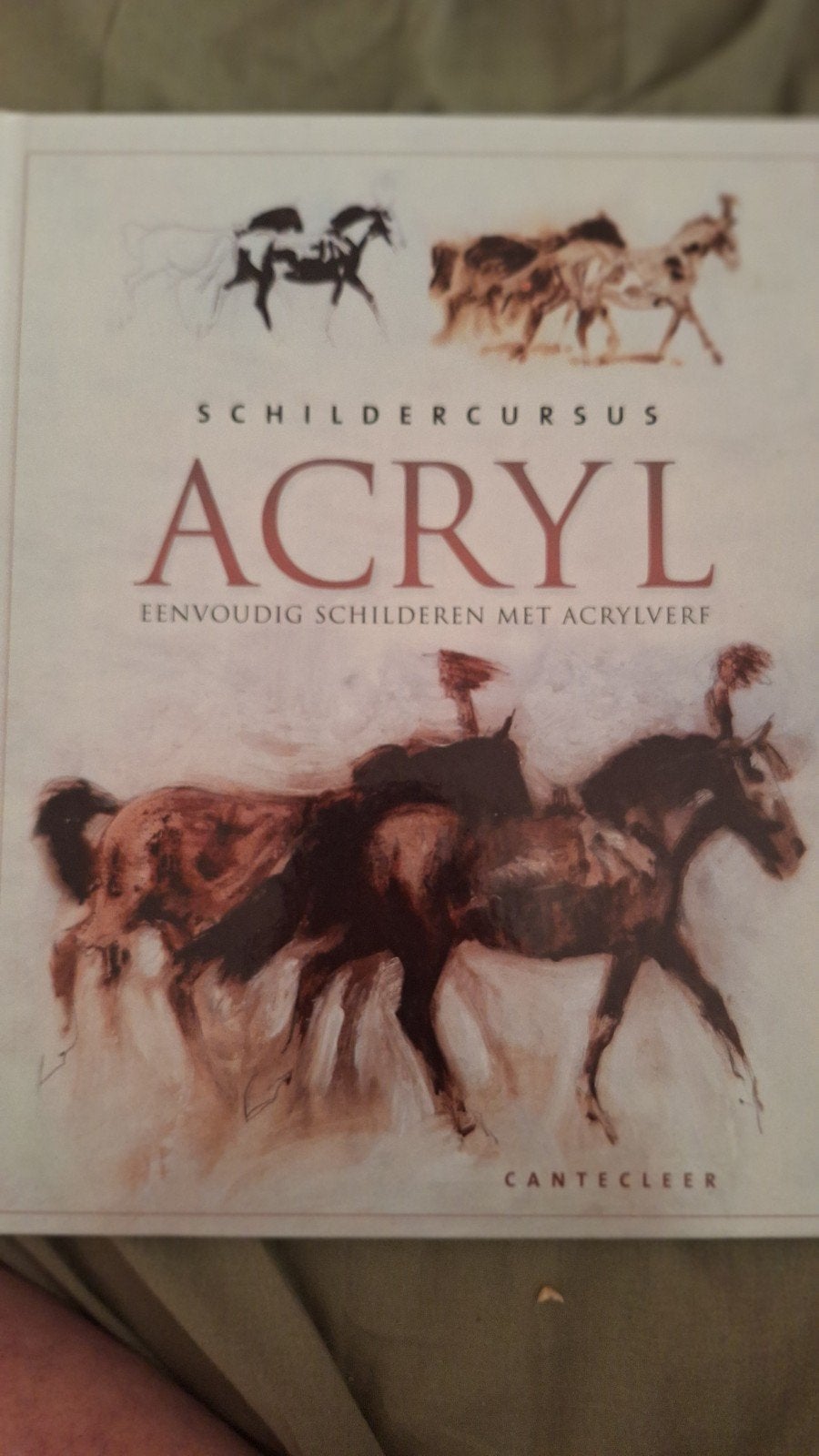 Schildercursus Acryl: Eenvoudig Schilderen met Acrylverf, Boeken, Ophalen of Verzenden, Zo goed als nieuw