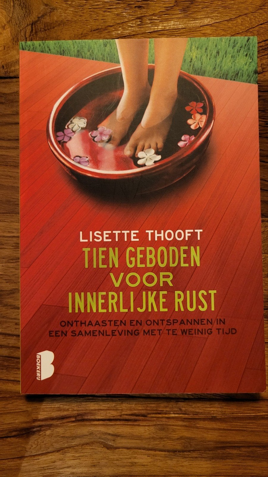 Tien Geboden voor Innerlijke Rust - Lisette Thooft, Ophalen of Verzenden, Zo goed als nieuw, Lisette Thooft, Meditatie of Yoga