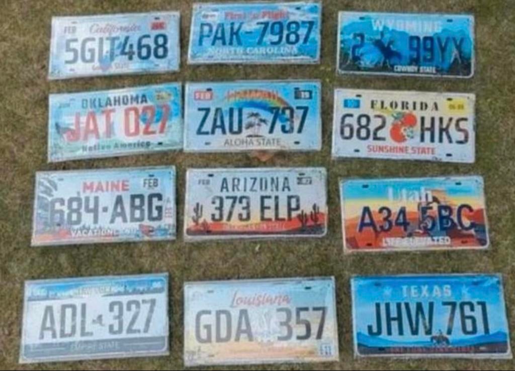 Amerikaanse kentekenplaten (12 stuks), Ophalen of Verzenden, Nieuw