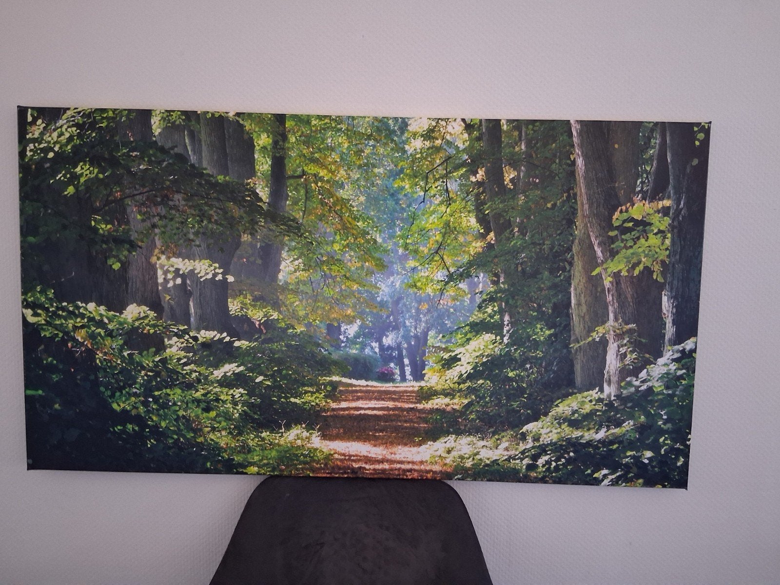Tuin schilderij, Ophalen, Zo goed als nieuw