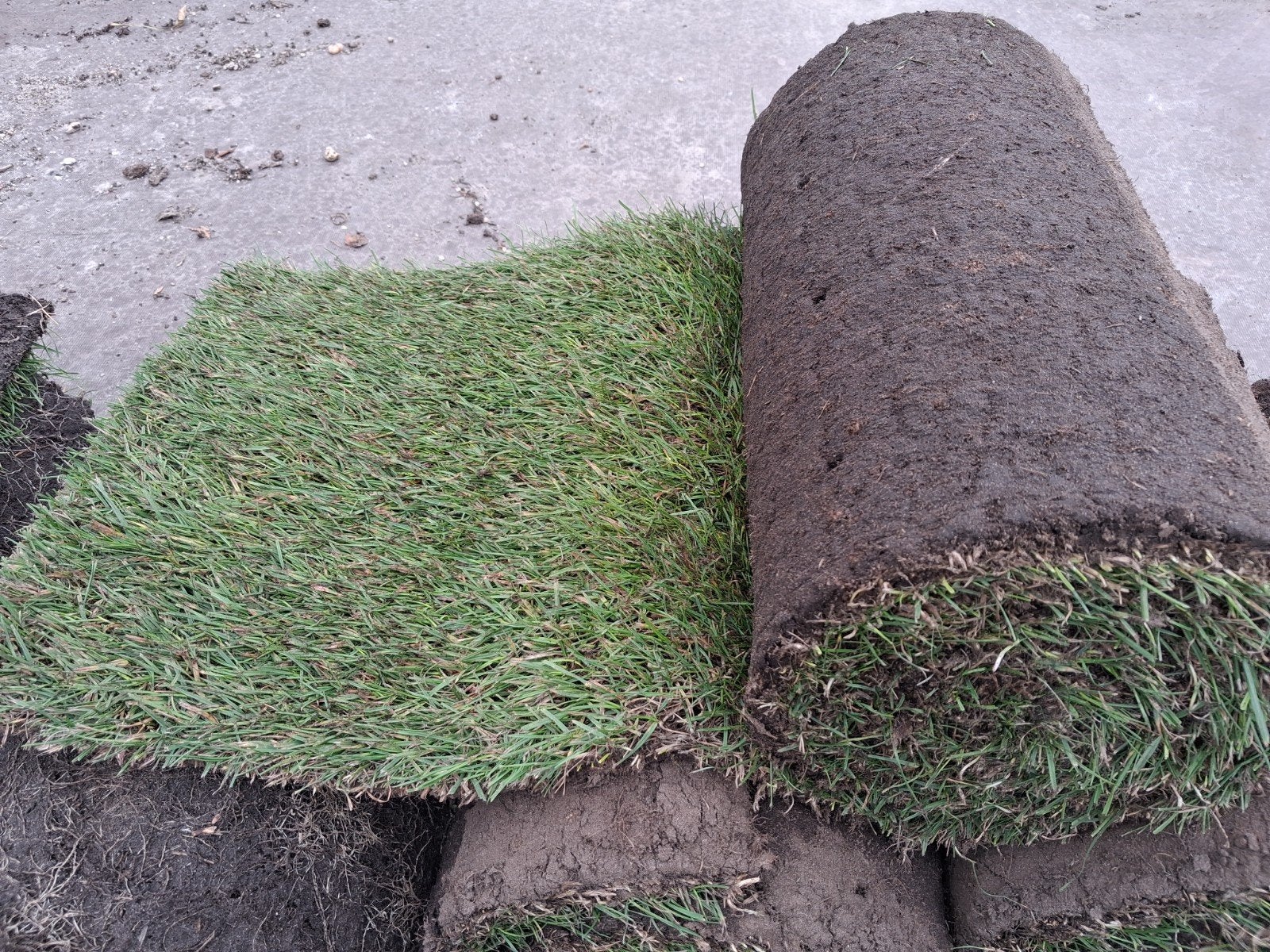 Verse graszoden voor een prachtig gazon, Tuin en Terras, Gras en Kunstgras, Ophalen of Verzenden, Nieuw, Minder dan 10 m²