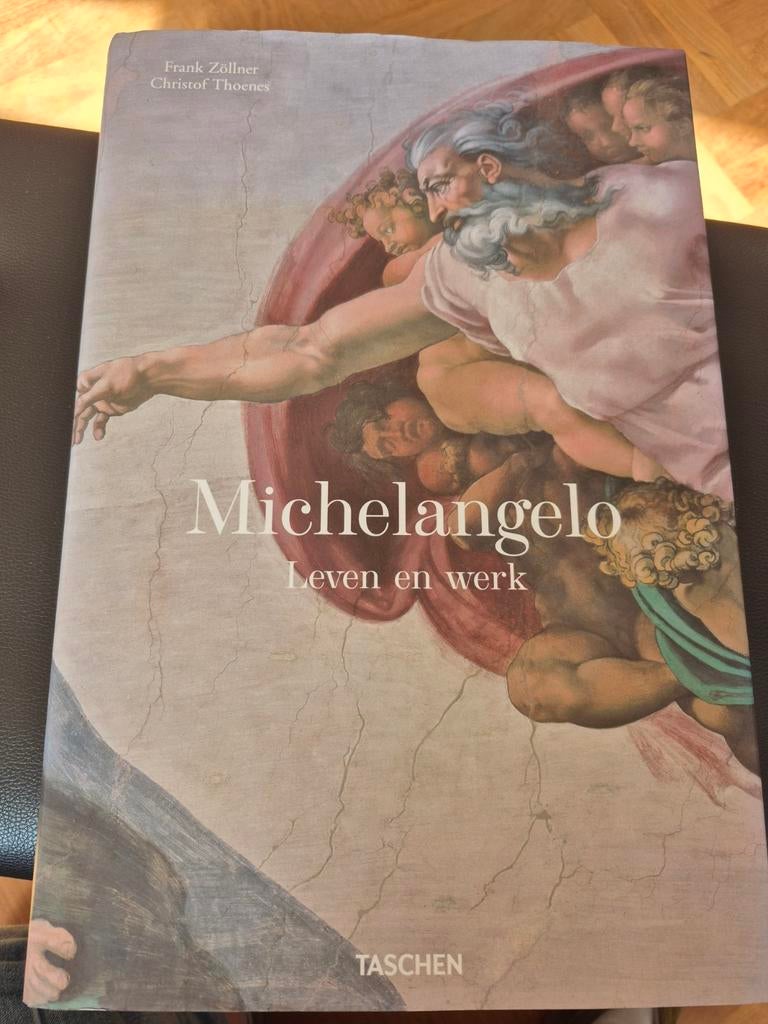 Kunstboek over Michelangelo 's leven en werk, als nieuw, Ophalen of Verzenden, Zo goed als nieuw