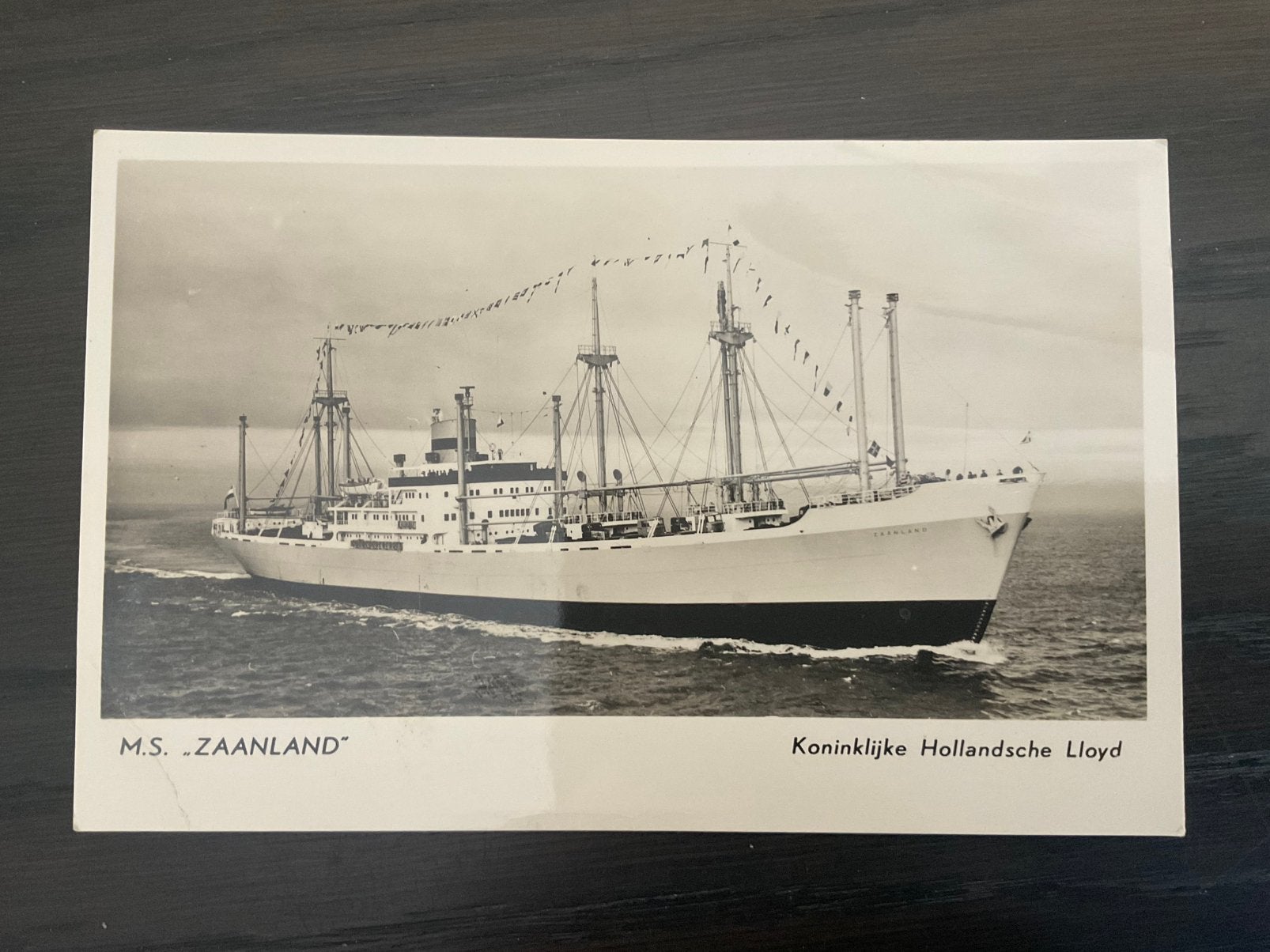 M.s. Zaanland kon.hollandsche lloyd, Verzamelen, Ophalen of Verzenden, Zo goed als nieuw, Kaart, Foto of Prent