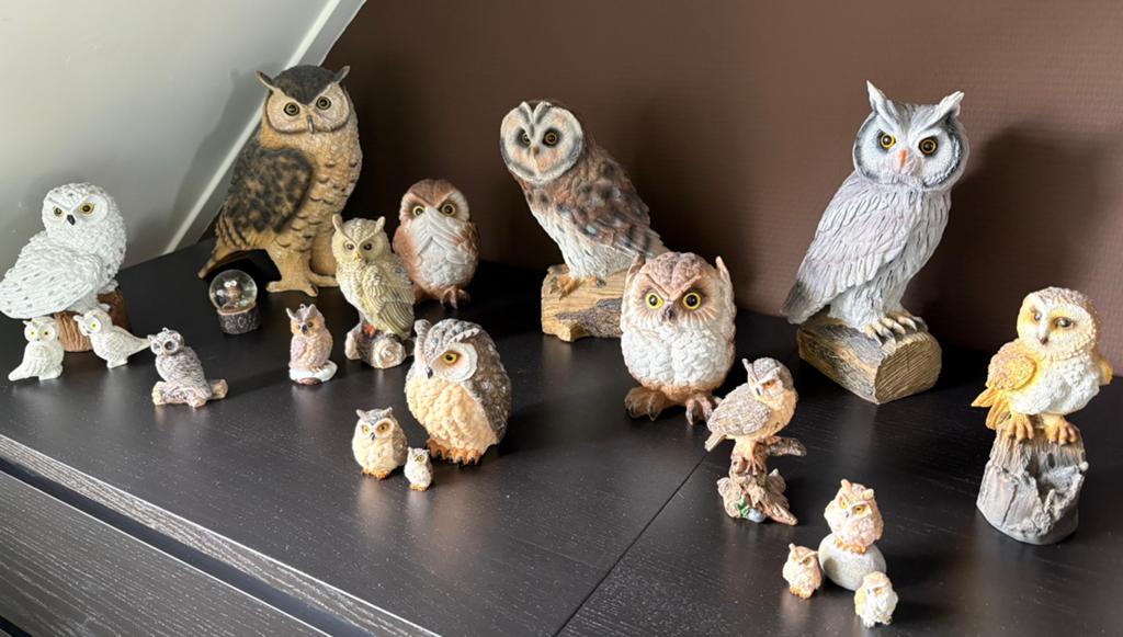 Grote collectie uilen beeldjes - diverse soorten, Ophalen