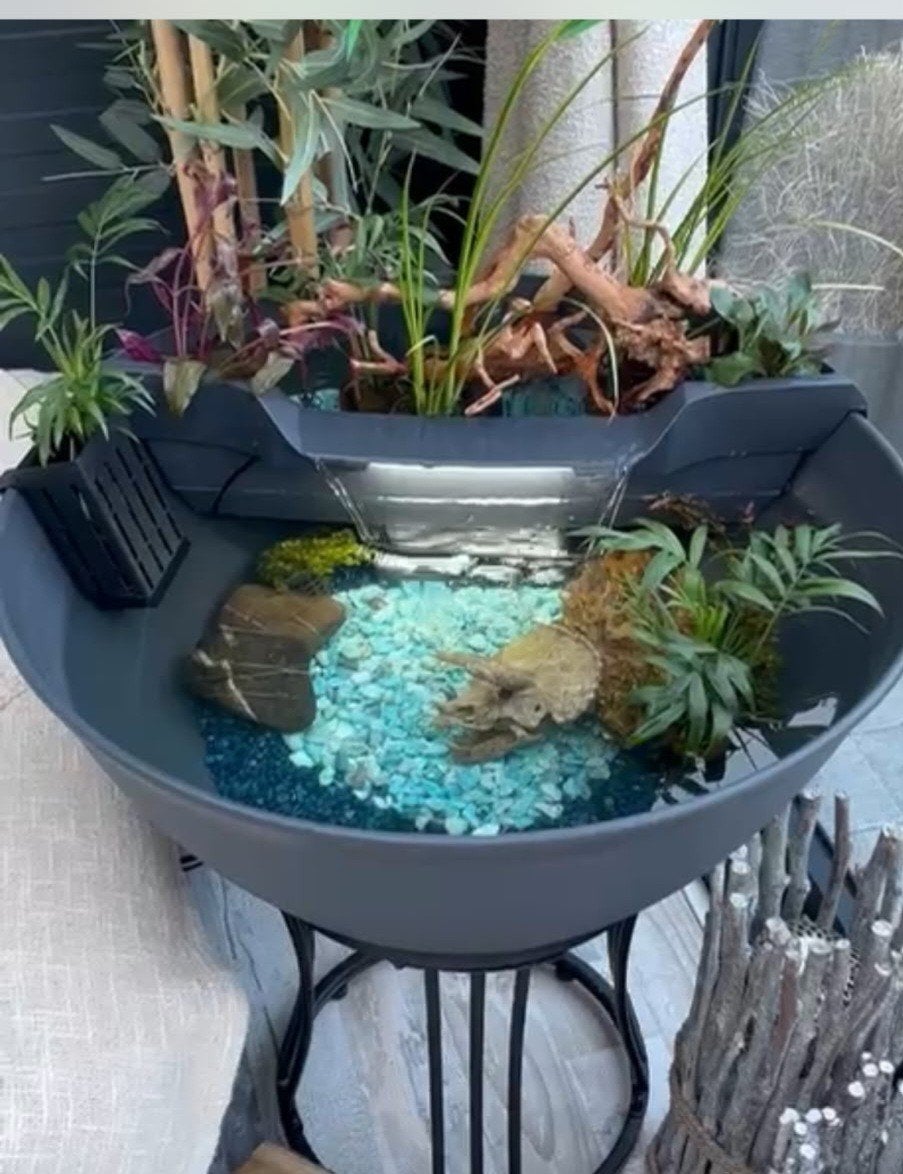 fontein/aquarium, Dieren en Toebehoren, Vissen | Aquaria en Toebehoren, Ophalen, Plant(en), Steen of Hout