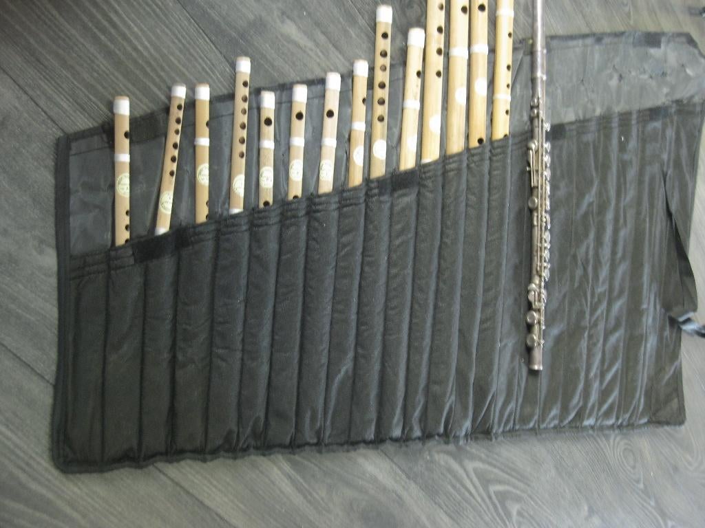fluit, Muziek en Instrumenten, Blaasinstrumenten | Blokfluiten, Overige typen, Ophalen of Verzenden