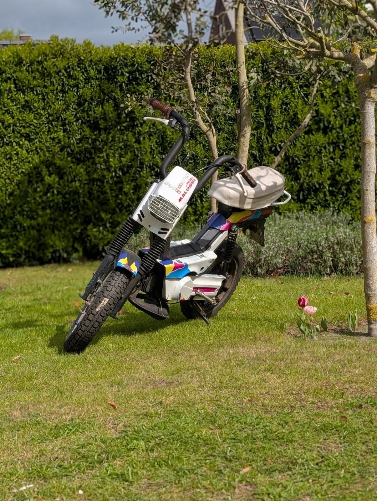 Gilera Citta met 65cc Opknapper, Ophalen, Gebruikt, 65 cc, Gilera