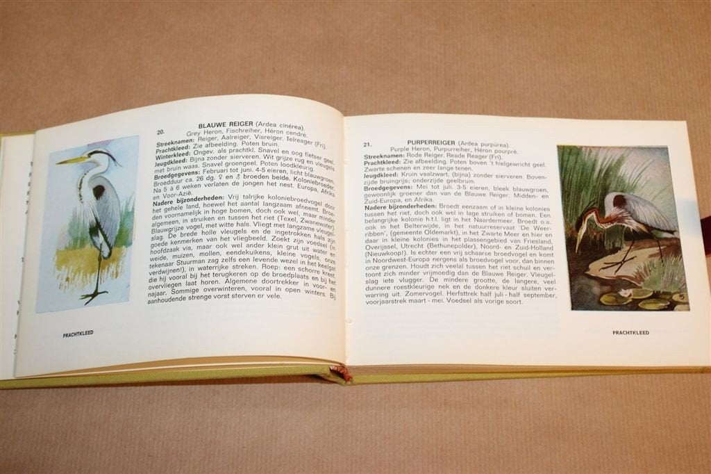 Zien is Kennen! — Vintage Vogelgids, Kleurplaten ca. 1970, Boeken, Ophalen of Verzenden, Gelezen, Vogels