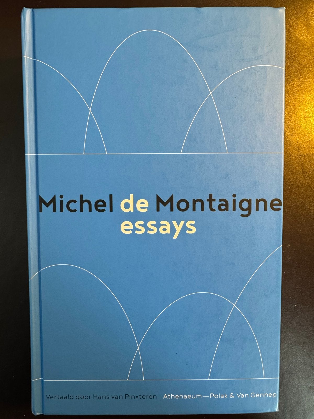 Michel de Montaigne - Essays (2021 editie), Boeken, Ophalen of Verzenden, Zo goed als nieuw, Eén auteur