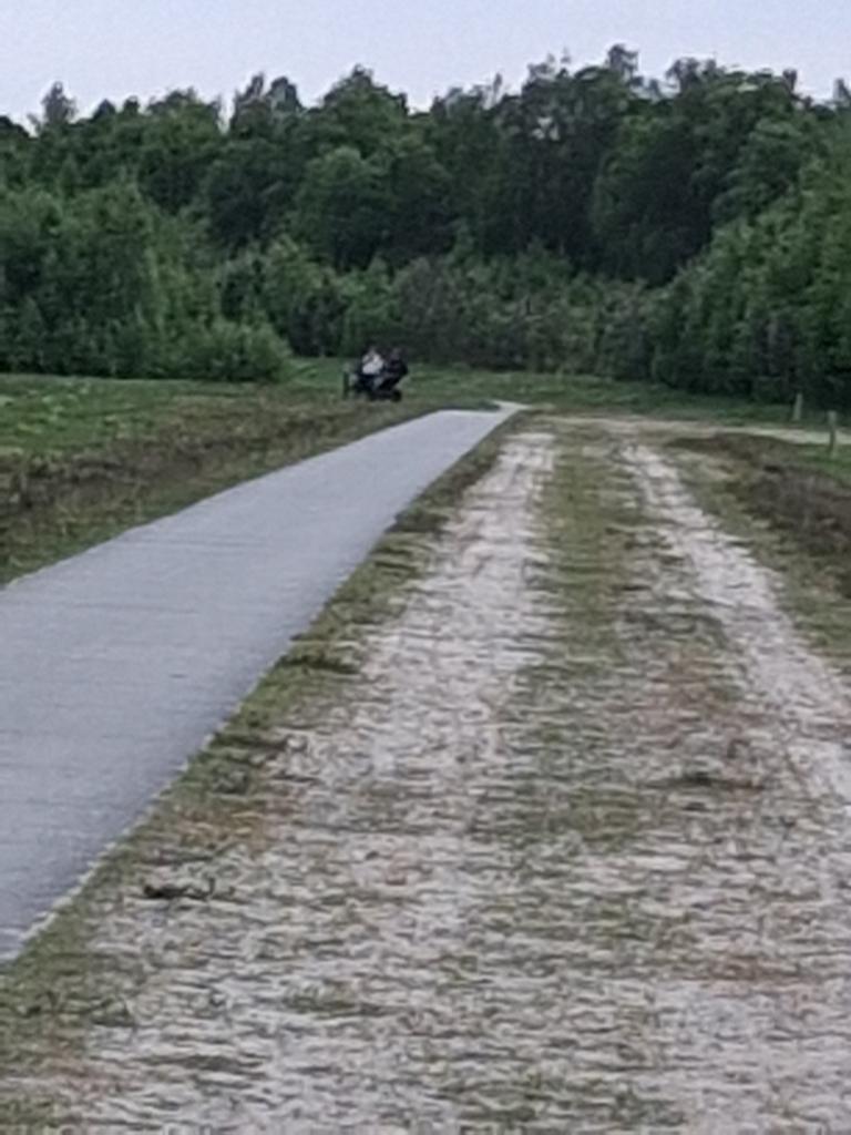 Met spoed gezocht kachel op stroom in huis geen kachel.ijs, Dieren en Toebehoren, Stalling en Weidegang