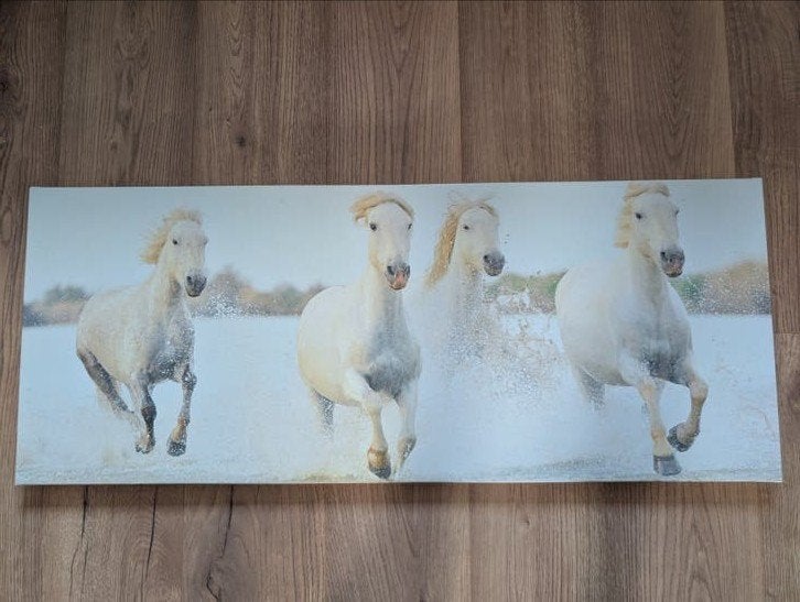 Schilderij Witte Paarden in Water - Canvas, Ophalen, Op houten frame, Dieren, Print