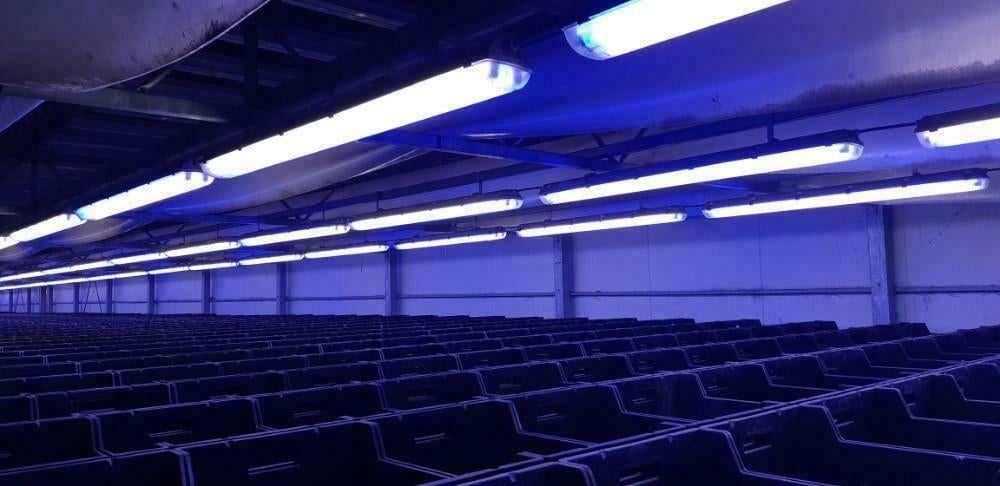 15x kweeklamp groeilamp tl-bak lamp 120cm ip65 blauw, Ophalen, Gebruikt, Kweeklamp