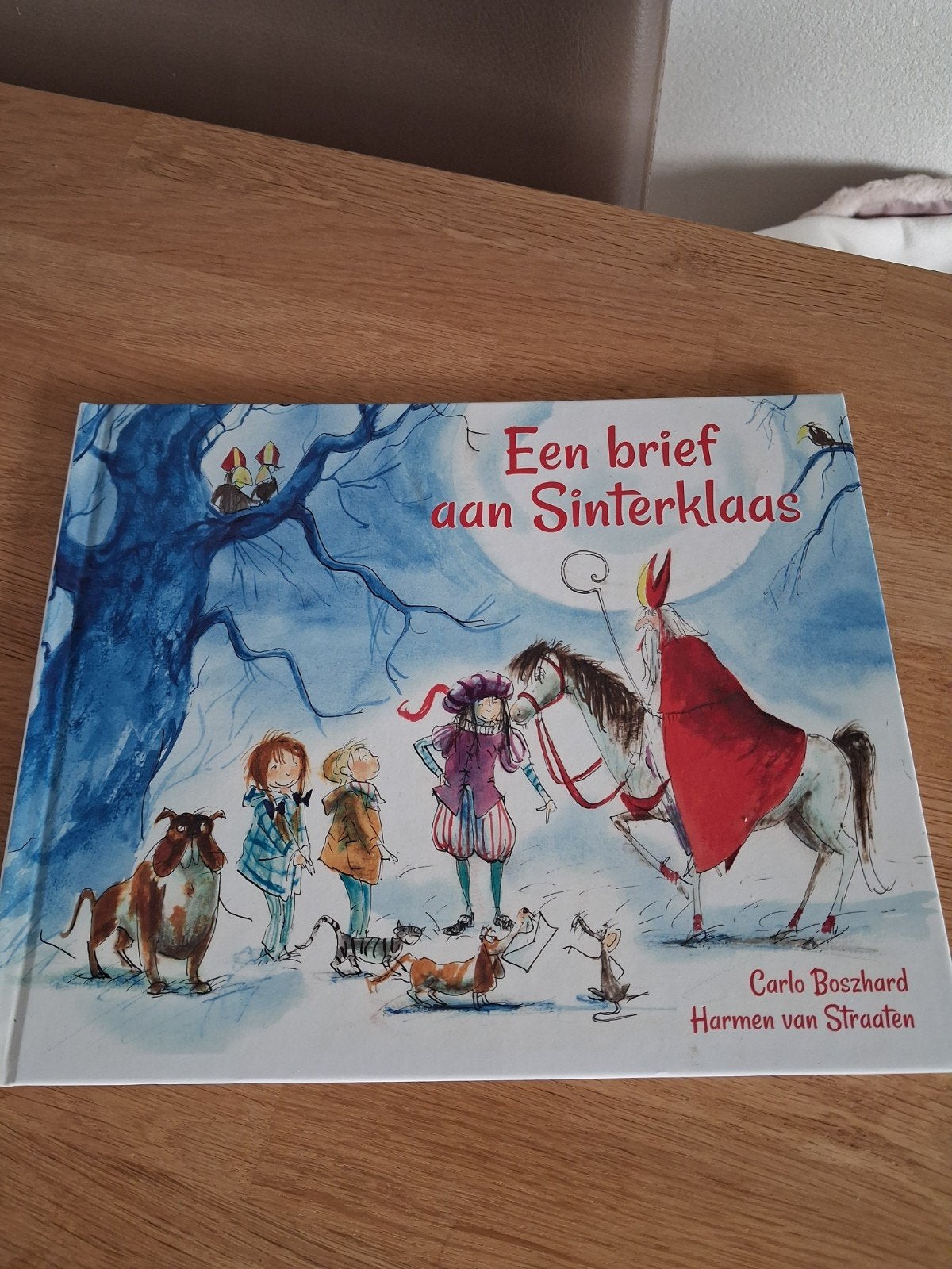 Sinterklaas Boek ~ Een brief aan Sinterklaas ~ Nieuw!, Ophalen of Verzenden, Nieuw