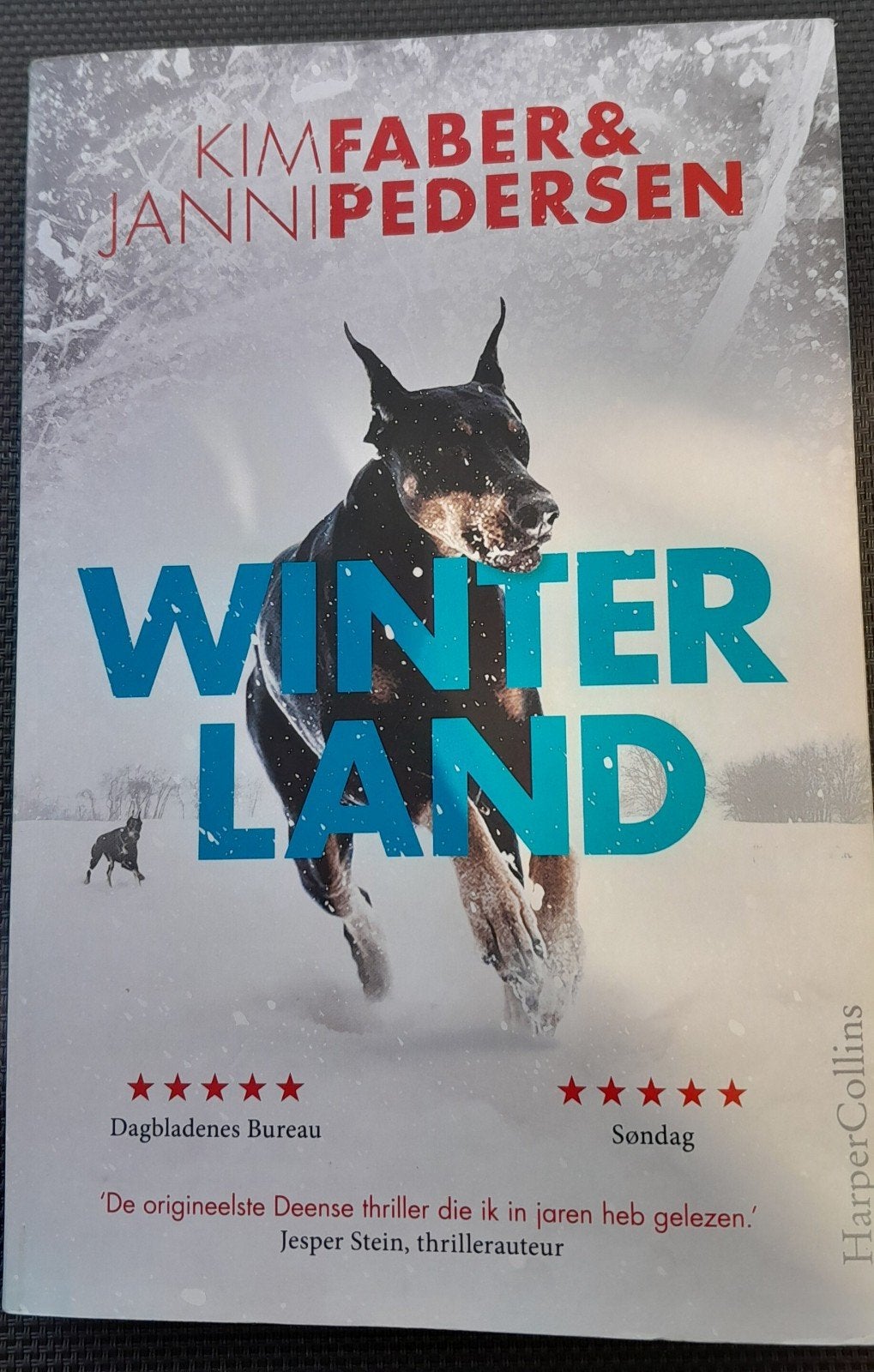 Winterland - Kim Faber & Janni Pedersen (Thriller), Ophalen of Verzenden, Zo goed als nieuw, Kim Faber & Janni Pedersen, Scandinavië