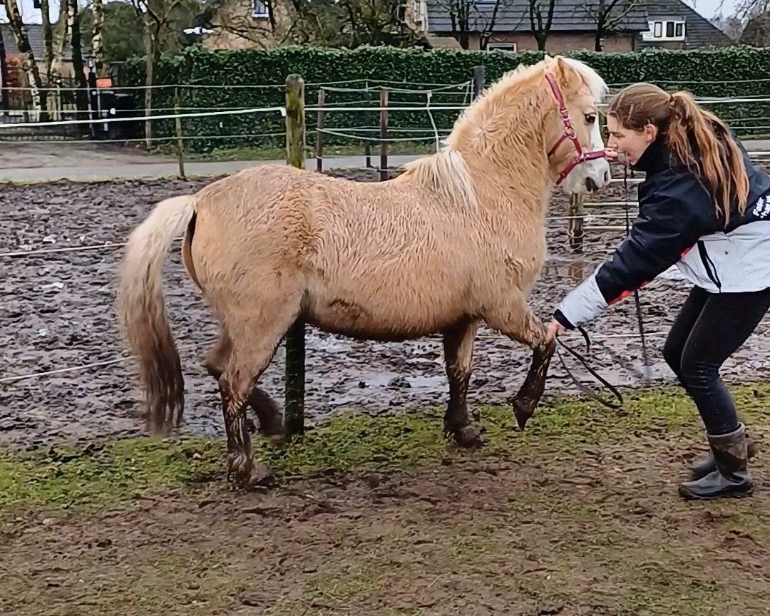 Grondwerkles aangeboden, Ophalen