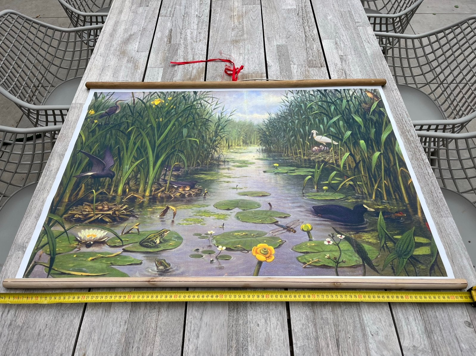 Wanddecoratie, schoolplaat riviertje natuur vogels, Ophalen, Gebruikt