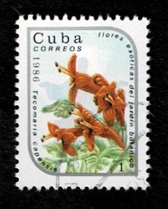 postzegel 2668 Cuba bloemen Kaapse Kamperfoelie, Ophalen of Verzenden, Gestempeld, Midden-Amerika