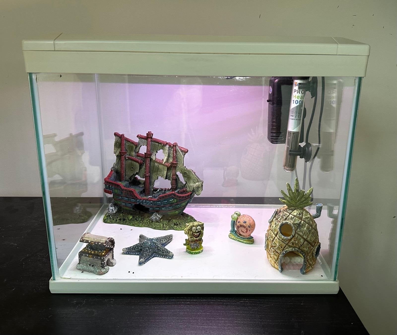 Aqarium met elementen, Ophalen, Gebruikt, Leeg aquarium, Superfish