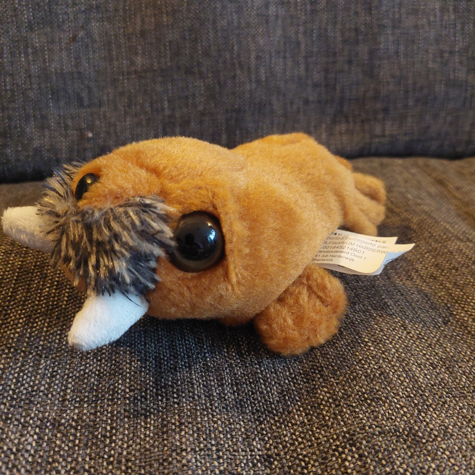 Knuffel Walrusje, Ophalen of Verzenden, Gebruikt, Overige typen