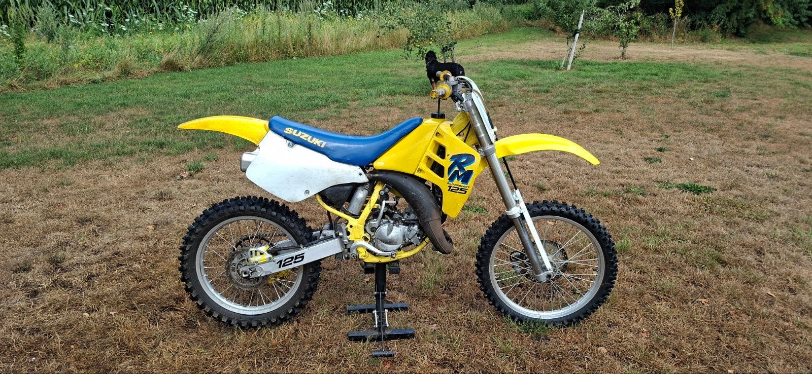 Suzuki RM 125 Crossmotor 1991, Fietsen en Brommers, Brommers | Crossbrommers, Ophalen, 125 cc, Zo goed als nieuw, Suzuki