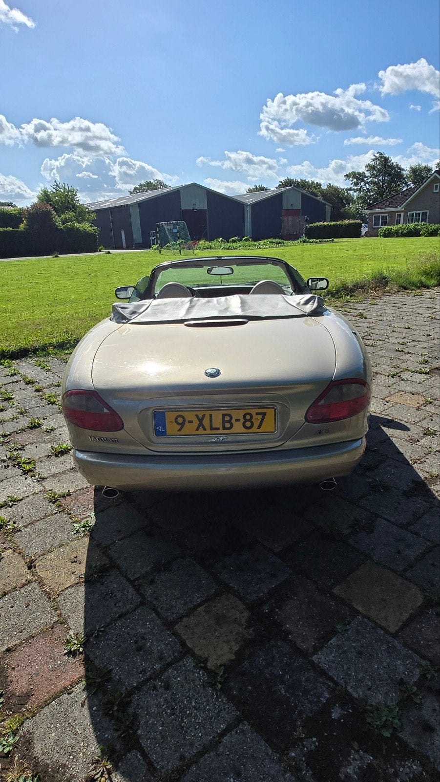 Jaguar XK8 4.0 Convertible 1999 Bruin, foto 10