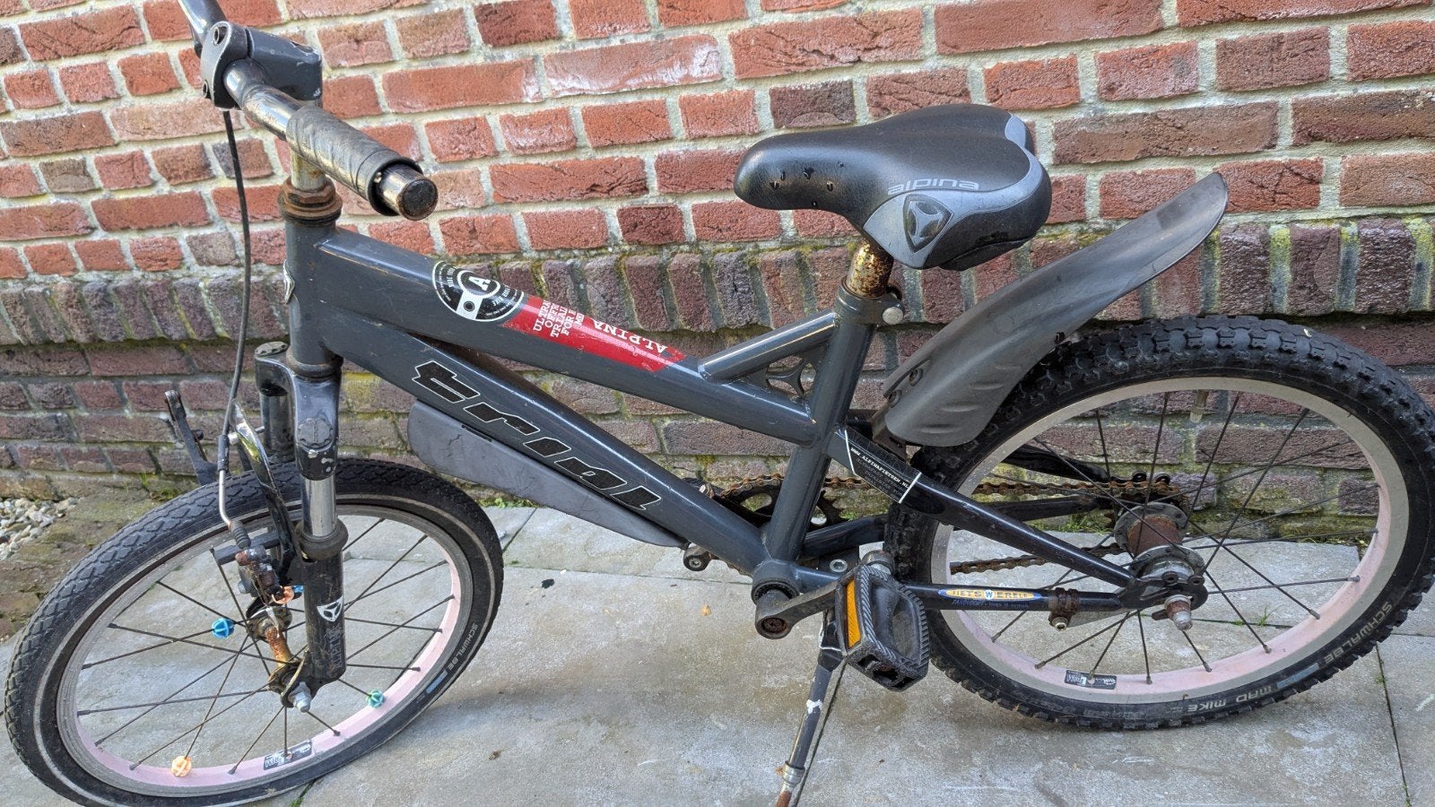 Alpina Trial kinderfiets 20 inch, Ophalen, Gebruikt, Overige merken