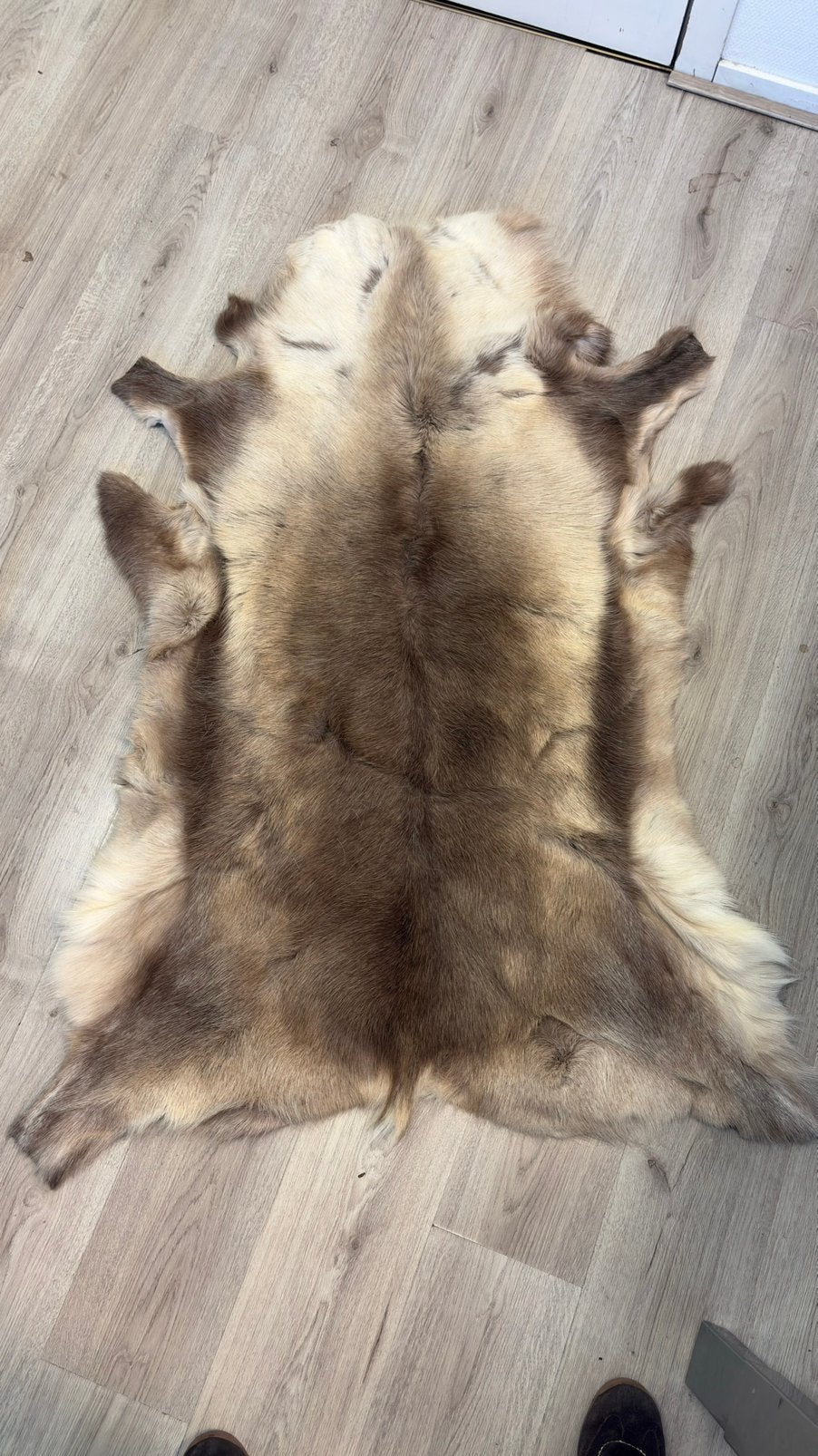 Echte rendierhuid / rendiervacht – 100% natuurlijk, Zo goed als nieuw, Overige materialen, Overige typen, Beige