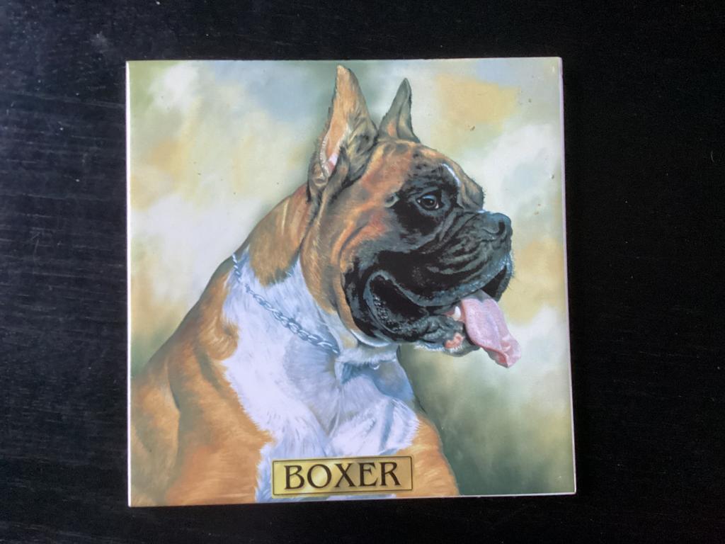 Vintadpge Spaanse wandtegel BOXER, Ophalen of Verzenden
