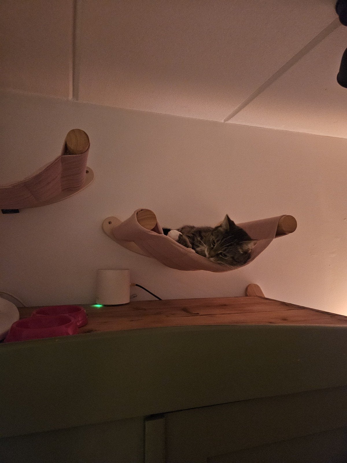 wandmeubel katten, trap met 2 manden, Dieren en Toebehoren