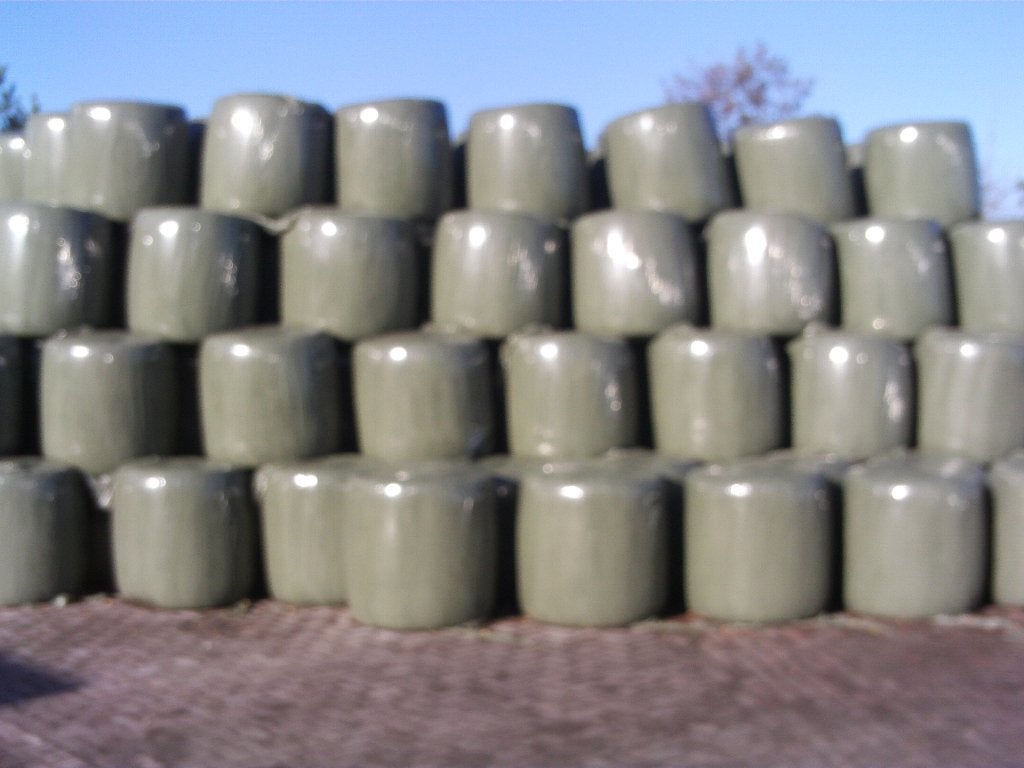 Midi maisbalen, Ophalen, Vee