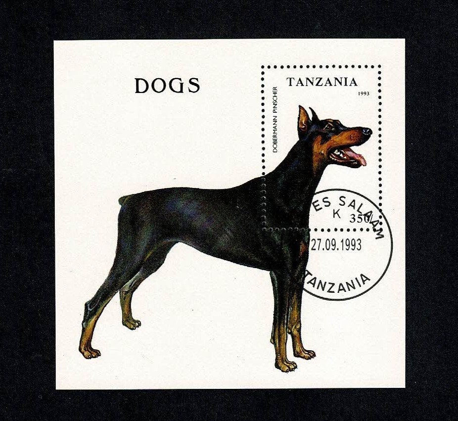 Honden / Hond : Dobbermann Pincher - blokje Tanzania, Verzenden, Gestempeld, Dier of Natuur