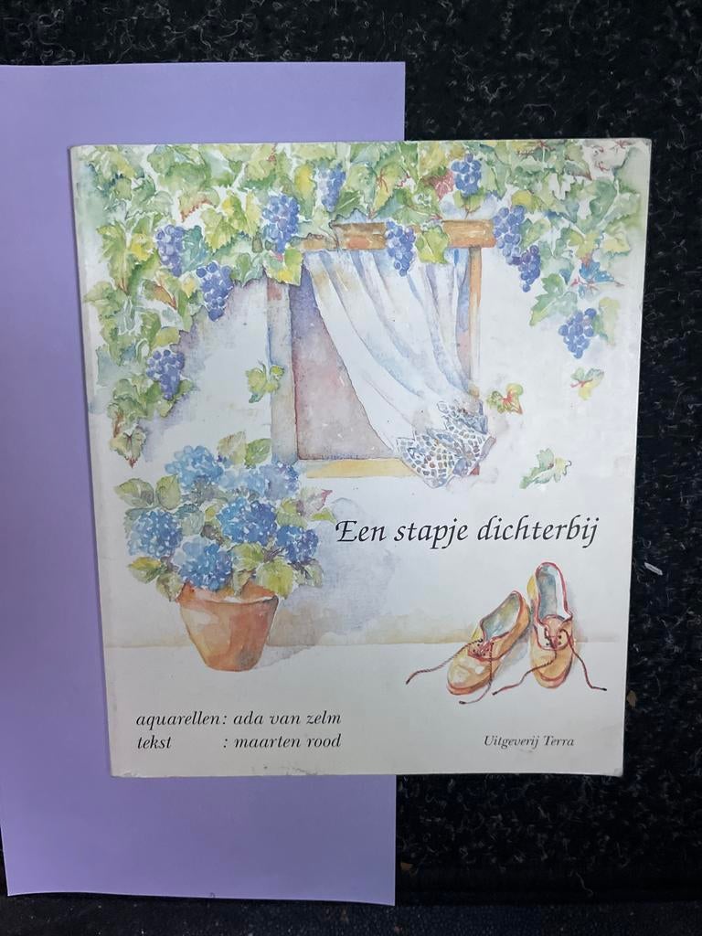 Een stapje dichterbij - Ada van Zelm & Maarten Rood, Boeken, Romans, Zo goed als nieuw, Nederland, Ophalen of Verzenden