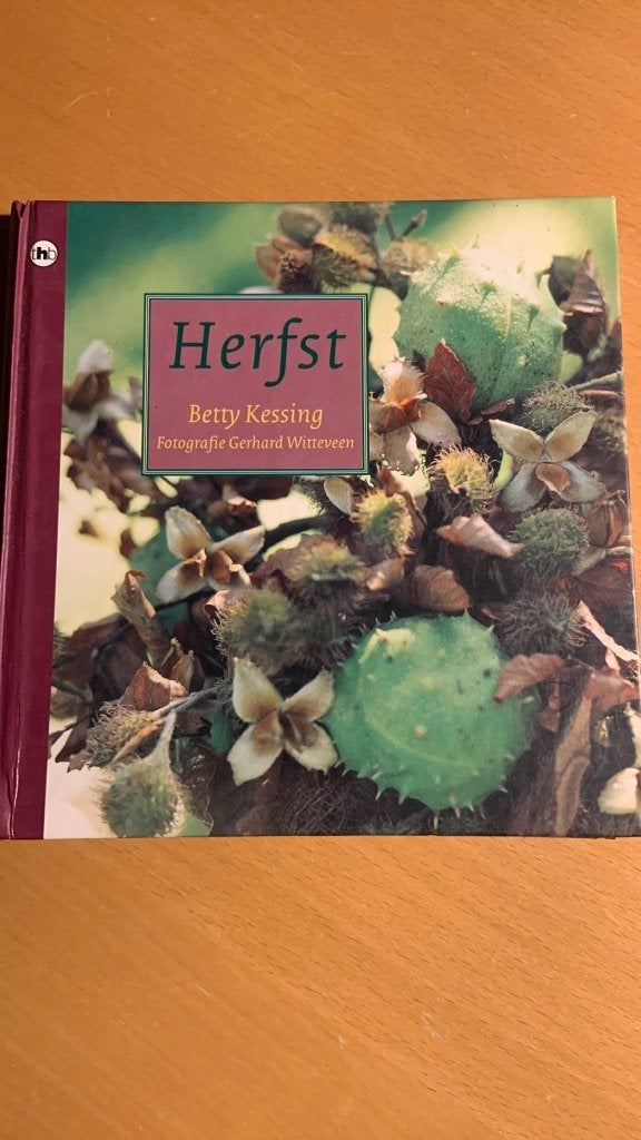 Betty Kessing - Herfst, Boeken, Ophalen of Verzenden, Interieur en Design