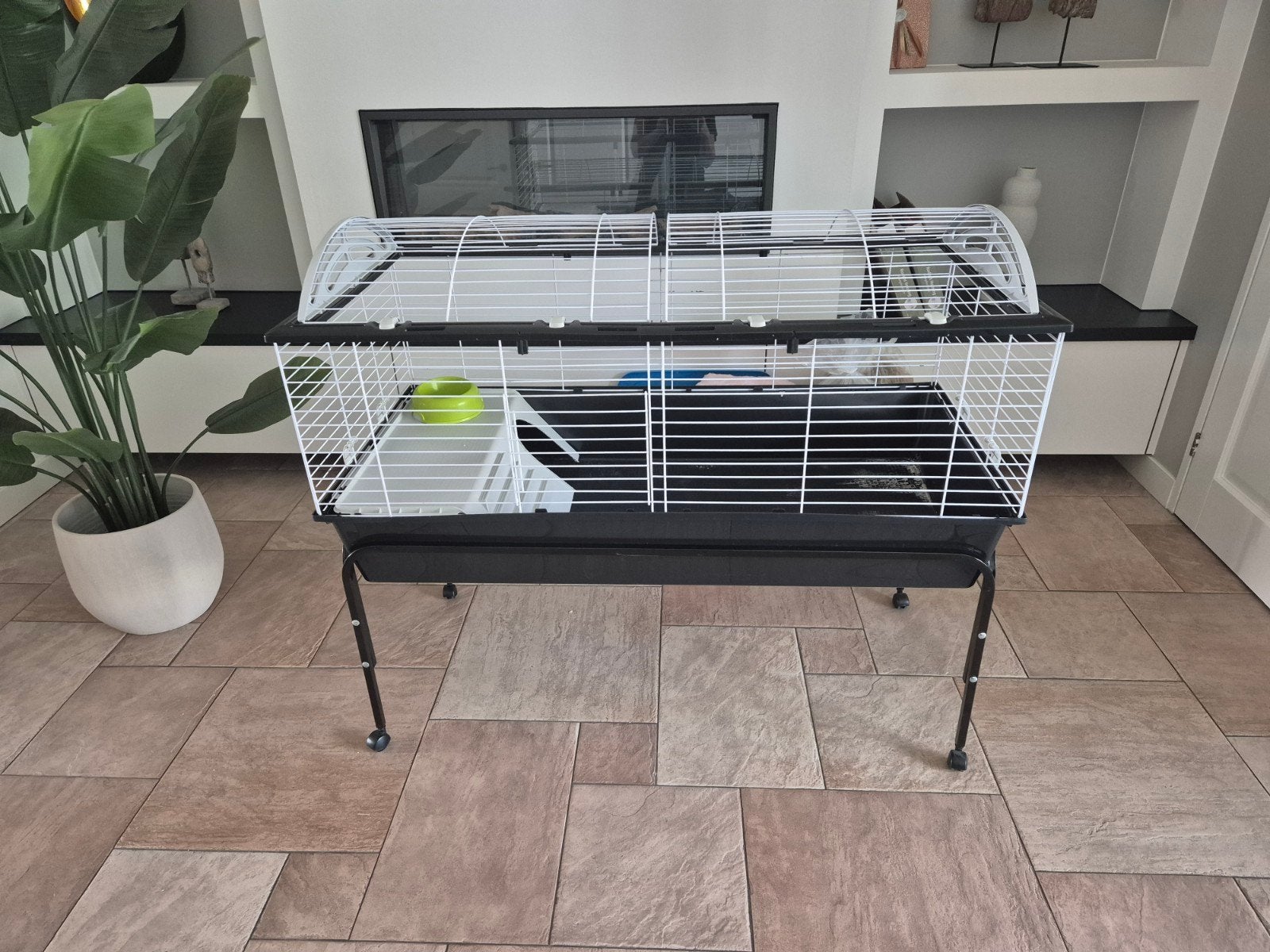 Tekoop cavia/konijnenhok met allerlei toebehoren, 110 cm of meer, Zo goed als nieuw, Hok, Cavia