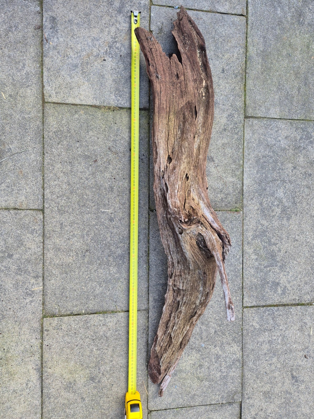 Aquarium hout 3, Ophalen, Zo goed als nieuw, Plant(en), Steen of Hout