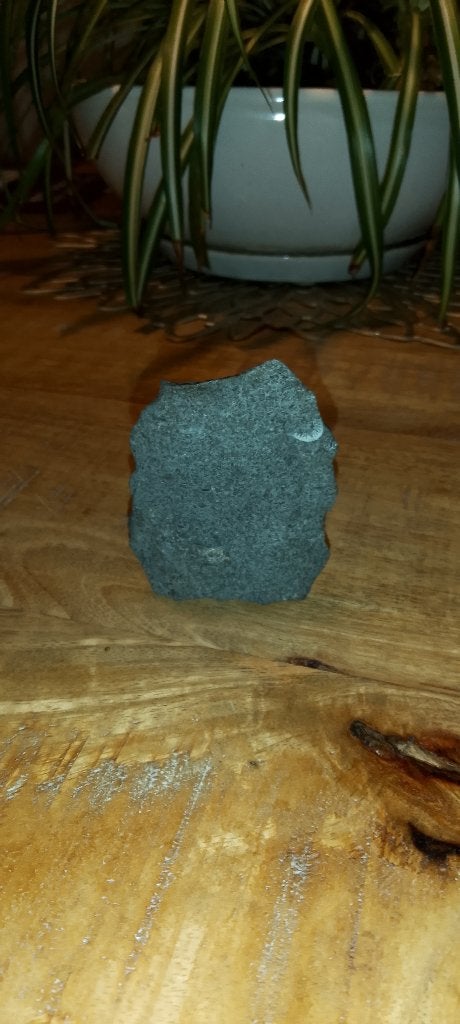Prehistorische bijlkop met fossiel jager/verzamelaar, Ophalen, Fossiel