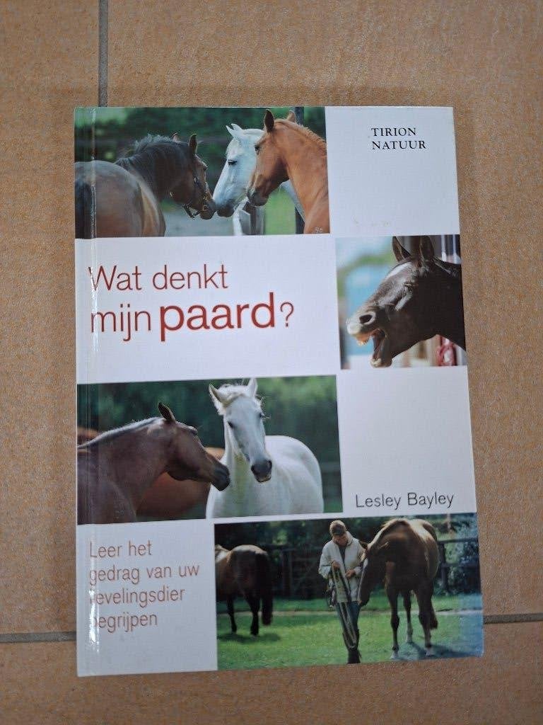 Boek Wat denkt mijn paard?, Ophalen of Verzenden, Zo goed als nieuw, Paarden of Pony's