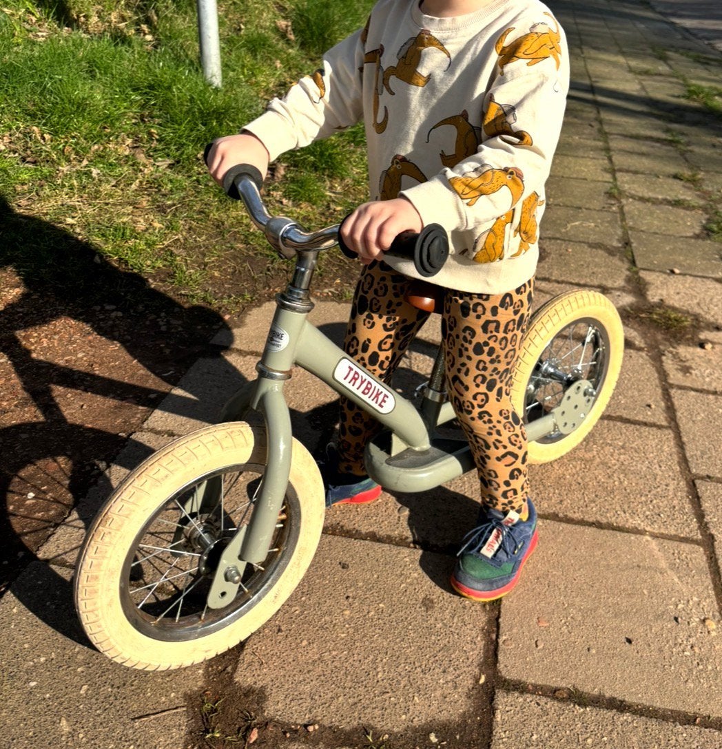 Trybike loopfiets steel groen 2 in 1 driewieler, Ophalen, Gebruikt, Loopfiets
