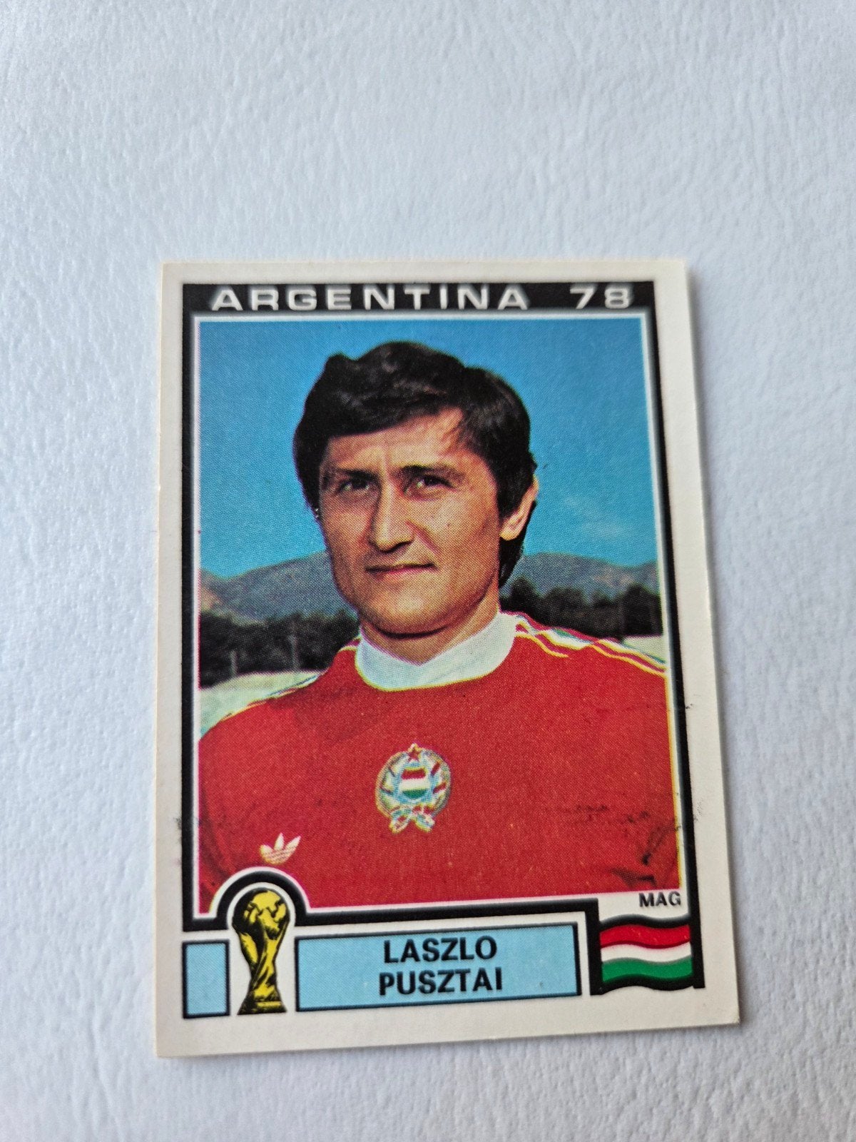 Panini WK 78, Ophalen of Verzenden, Zo goed als nieuw, Sticker