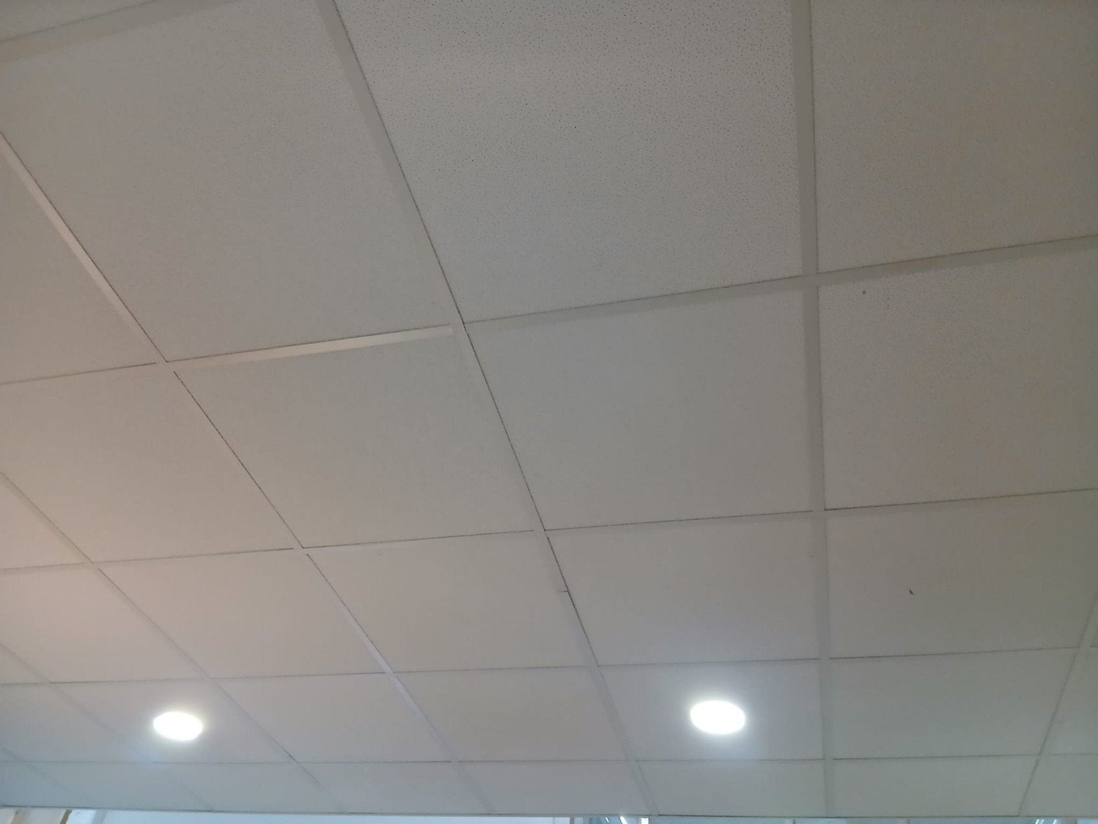 TE KOOP: 20m2 Systeemplafond met verlichting, Ophalen